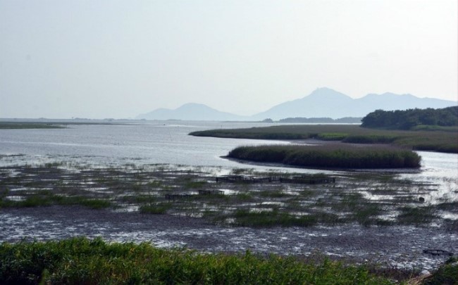 남단탐조대의 썰물시간(사진=부산시 제공)
