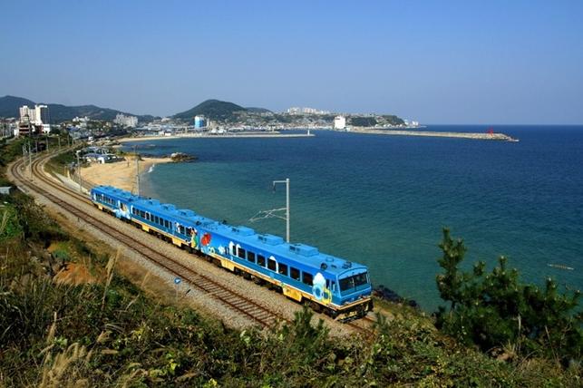 동해안을 달리는 바다 열차(사진=코레일 제공)
