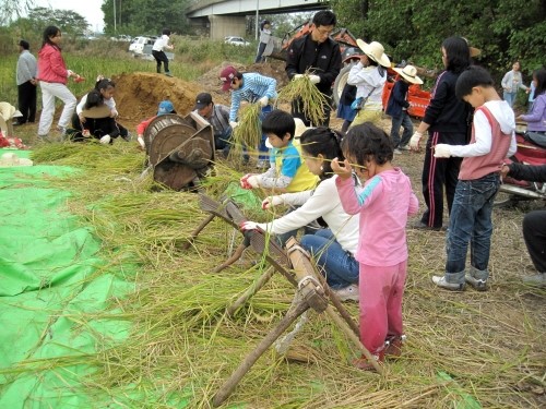 부산쌀사랑체험행사(사진=부산시농업기술센터 제공)