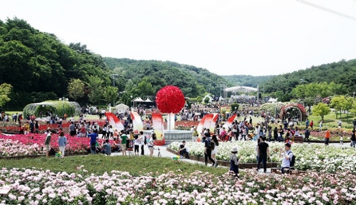 57,000본 장미로 꾸민 축제현장(사진=울산시 제공)