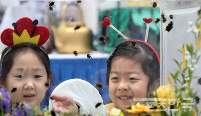 꿀벌을 관찰하는 어린이들