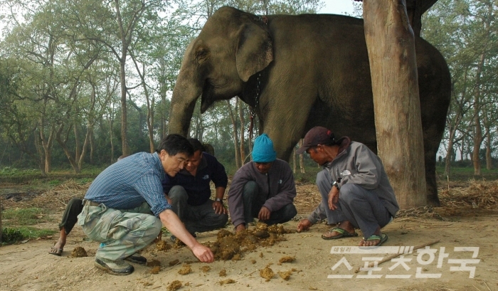강원희 강원대학교 원예과학전공 교수(왼쪽)가 지난 2월 네팔 현지에서 코끼리 배설물에서 커피 생두를 골라내는 모습이다. <사진=강원대 제공>