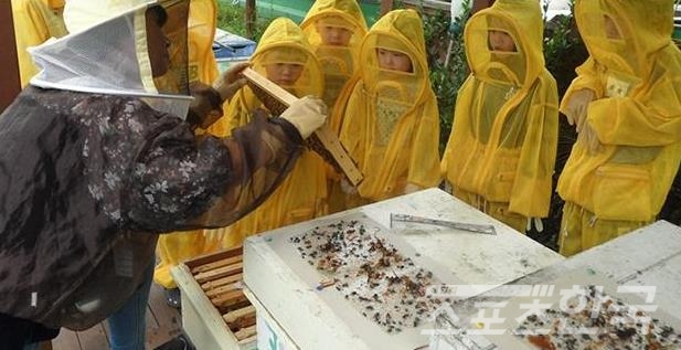 보라매 어린이 꿀벌학교