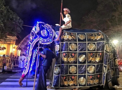 가면에 가려진 채 축제에 동원된 코끼리(사진=코끼리 구호재단 페이스북)