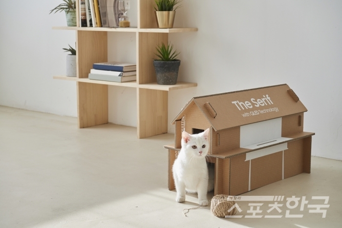 삼성전자 라이프스타일 TV 에코 패키지 고양이집 (사진 = 삼성전자 제공)
