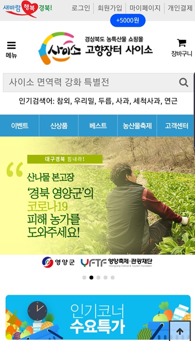 경북도 쇼핑몰 '사이소' 홈페이지 메인 화면.