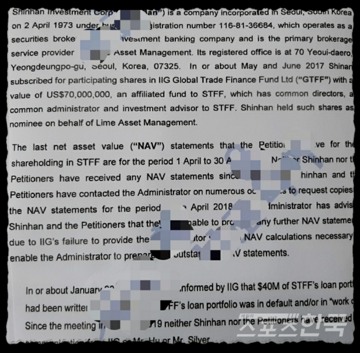신한은행 관련설을 기술한 케이만제도 법원에 제출된 청산청원서