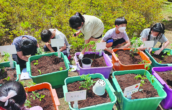 농촌진흥청의 ‘상자텃밭 활용 농업체험 프로그램’에 참여한 초등학생들이 텃밭 만들기를 하고 있다.(농촌진흥청)