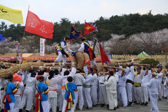 영암왕인문화축제,에서 진행된 도포제 줄다리기 모습