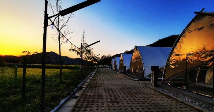 함평군 대동제생태공원에 조성된 별별캠핑장 모습