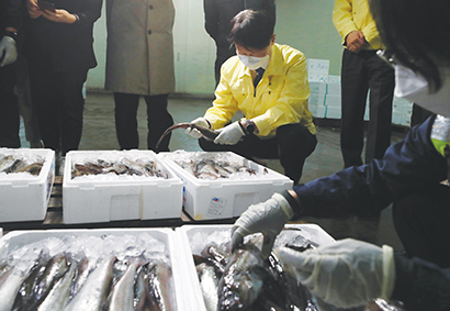 지난 19일 오후 부산 감천항 수입식품검사소에서 김강립 식약처장이 일본산 수입 수산물에 대한 방사능 검사 과정을 점검하고 있다.