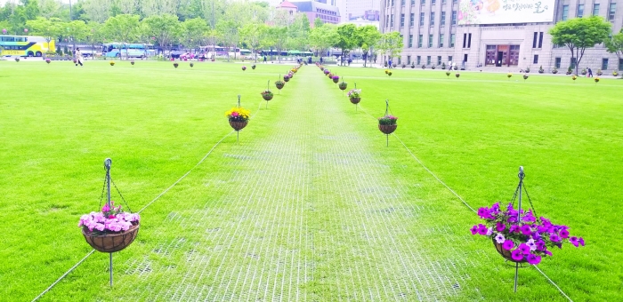 서울광장 잔디에 설치된 화분