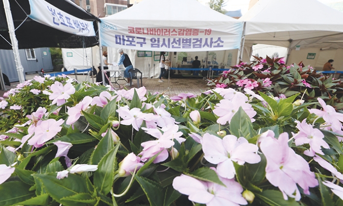 지난 18일 오후 꽃길이 조성된 서울 마포구 서강대역사 광장 임시선별검사소에서 시민들이 검사를 위해 이동하고 있다.