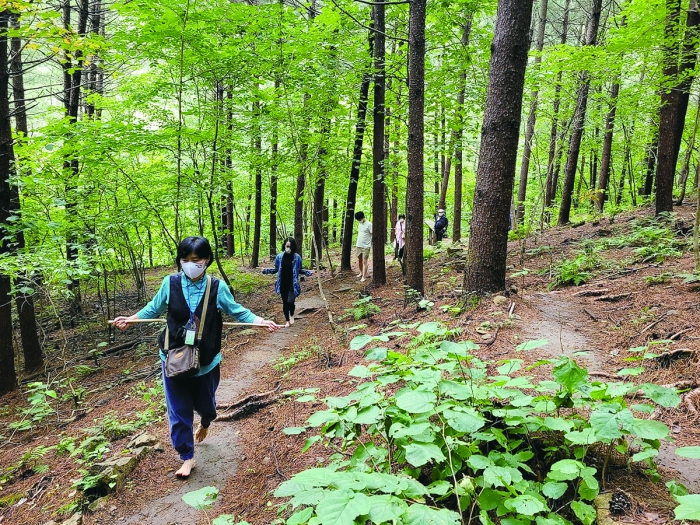 경기 양평의 국립산음자연휴양림에서 산림치유프로그램 체험 장면