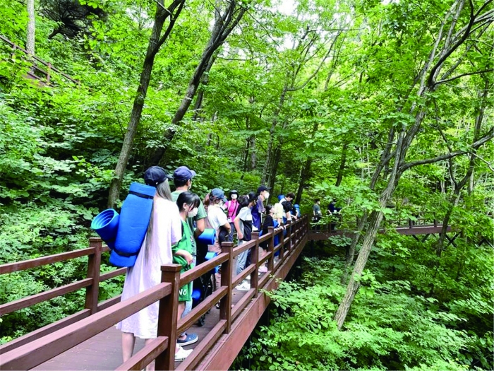 산림청·교육부·한국산림복지진흥원에서 운영하는 정다운 숲교실 숲속 걷기 모습.