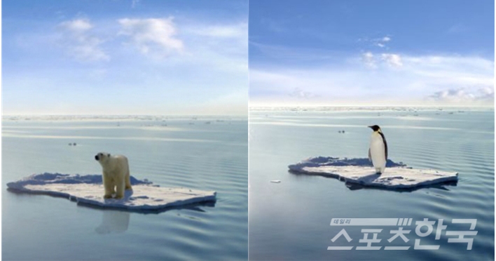 해양생태계 파괴로 신음하는 북극곰과 펭귄(사진=극지연구소 제공)