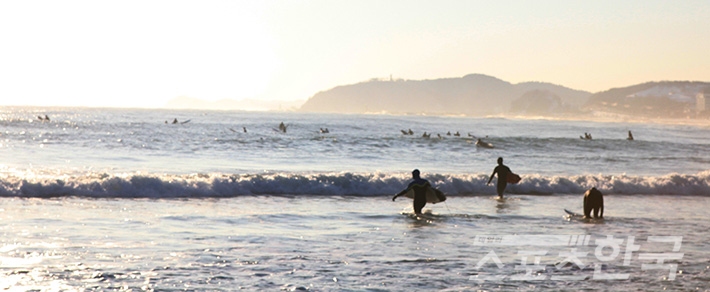 물치해변에서 서핑을 즐기는 모습
