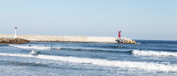 인구해변에서 서핑을 즐기는 모습