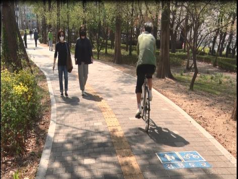 서울 송파구 곳곳의 자전거통행로에 자전거·보행자 겸용도로임을 안내하는 픽토그램 바닥표지가 설치되어 있다.