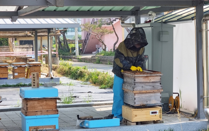 전남 농업기술원이 기후변화등으로 인한 꿀벌 개체소 감소 및 폐사 원인 규명 데이터 수집을 위해 스마트양봉 사업을 진행한다.