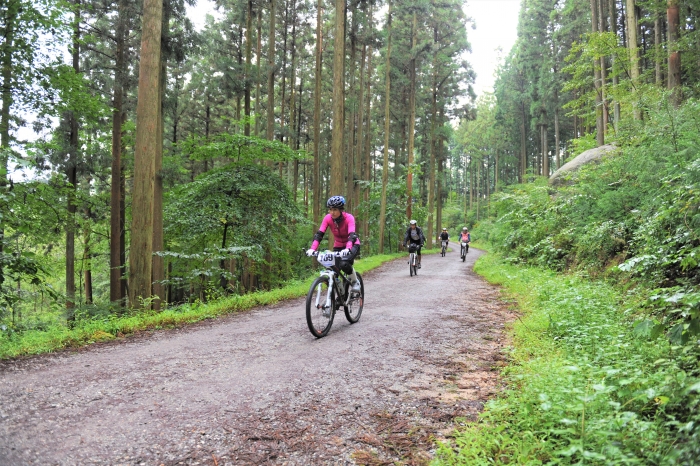 장성 축령산 편백숲 자전거 하이킹 코스