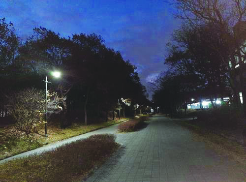 LED 조명 공원등이 설치된 서울숲 보행로.(서울시)