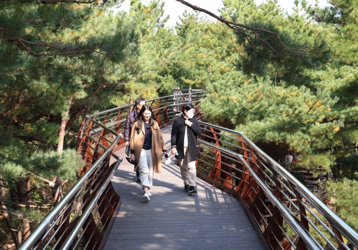 백화산 트리워크를 산책하는 관광객들 모습.