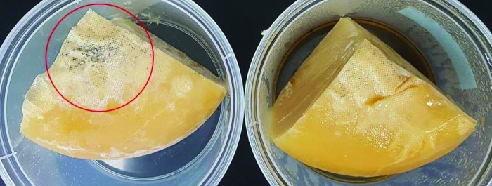 3개월 숙성 하우다 치즈에 항균 유산균 처리 및 무처리 비교(15일 경과). 항균 유산균 무처리(왼쪽), 항균 유산균 처리(오른쪽).