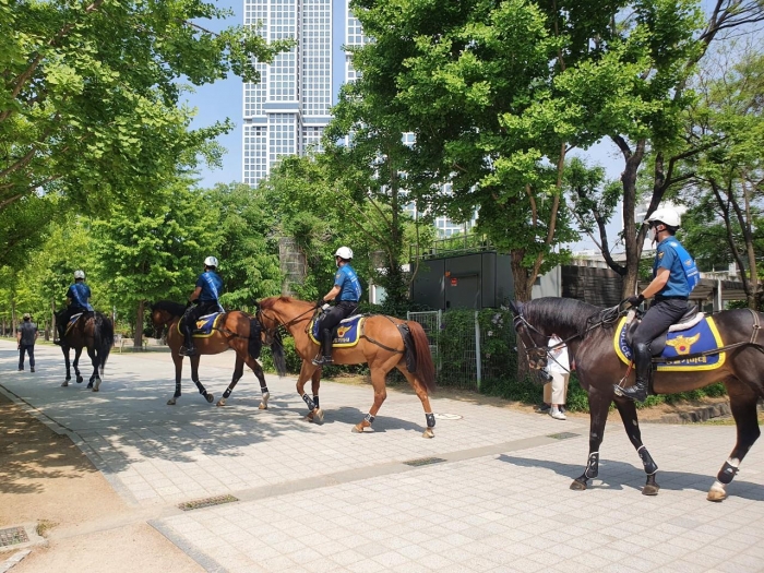 서울숲 순찰하는 말들.(서울시)