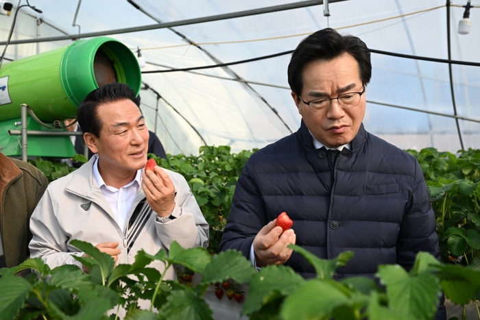 정황근 농림축산식품부장관(오른쪽)과 백성현 논산시장(왼쪽)이 딸기 농가를 시찰하고 있다