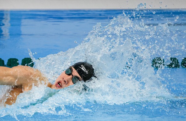 (사진=황선우가 19일 열린 전국체전 수영 혼계영 400m에서 역영을 펼치고 있다. 이날 우승으로 황선우는 대회 다섯 번째 금메달을 목에 걸었다. / 연합뉴스)