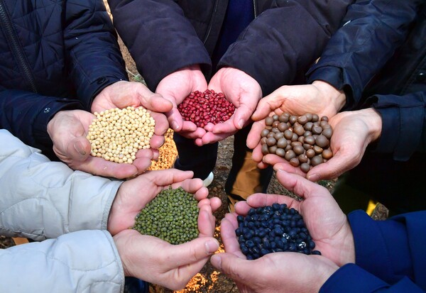 장성토종씨앗연구회 회원들이 보존 중인 토종씨앗을 선보이고 있다[사진=장성군 제공]