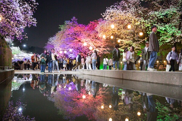 렛츠런파크 서울에서 열린 벚꽃축제 모습. (사진=한국마사회 제공)