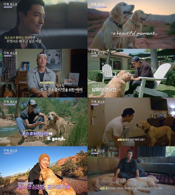 로스코와 뛰노는 다니엘 헤니