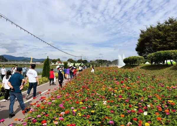 황룡정원 방면 백일홍이 싱그러운 얼굴을 한껏 드러냈다. [사진=장성군 제공]