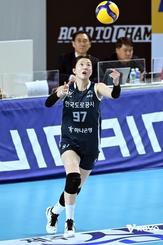 김종민 200승 관련 뉴스 썸네일 - 도로공사 김종민 감독 200승 달성하며 선두 탈환, 대한항공도 2위 도약