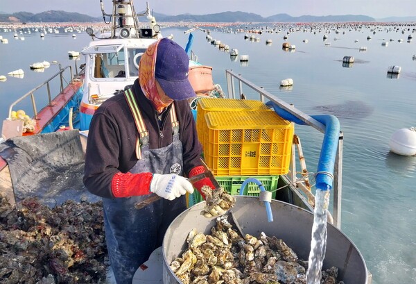 우수 귀어귀촌인 대상 김진호씨[사진=전남도 제공]