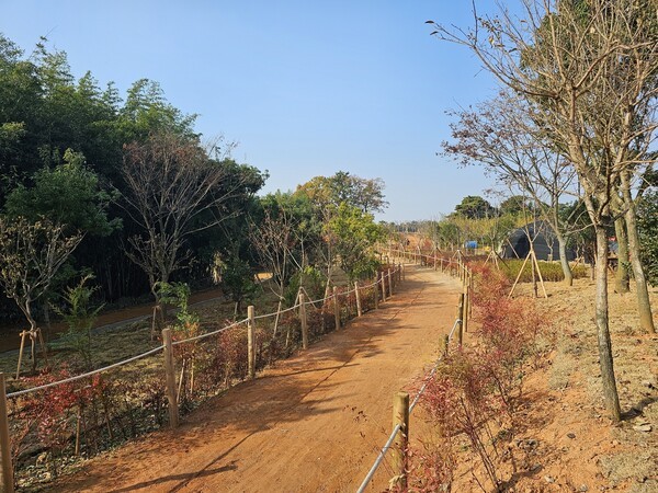 ‘2025년 주민단체참여숲 조성사업’으로 조성된 황톳길.