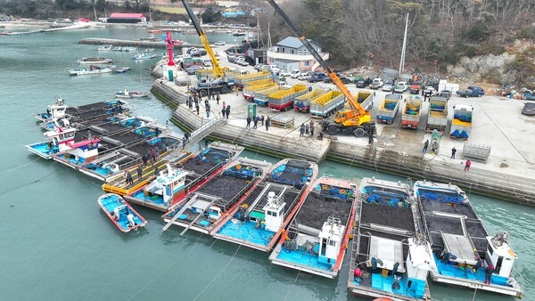 완도군 군외면 당인리의 물김 위판 현장[사진=완도군 제공]