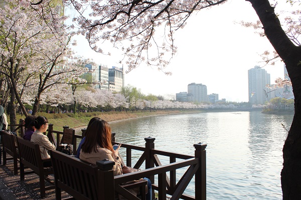 석촌호수 벚꽃축제 모습.사진=한국관광공사
