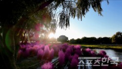 부산 화명생태공원, 가을 끝자락 빛난다